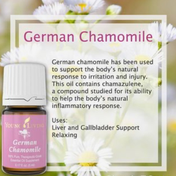 Young Living GERMAN CHAMOMILE Essential Oil | 5ml - Picture 2 of 4